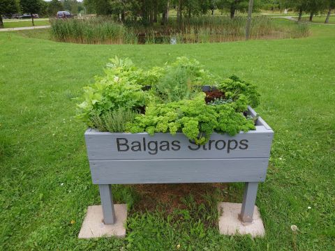 "Balgas strops", Vecpiebalgas pagasts