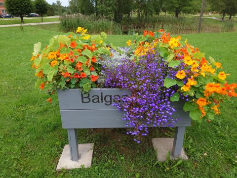 "Balgas strops", Vecpiebalgas pagasts