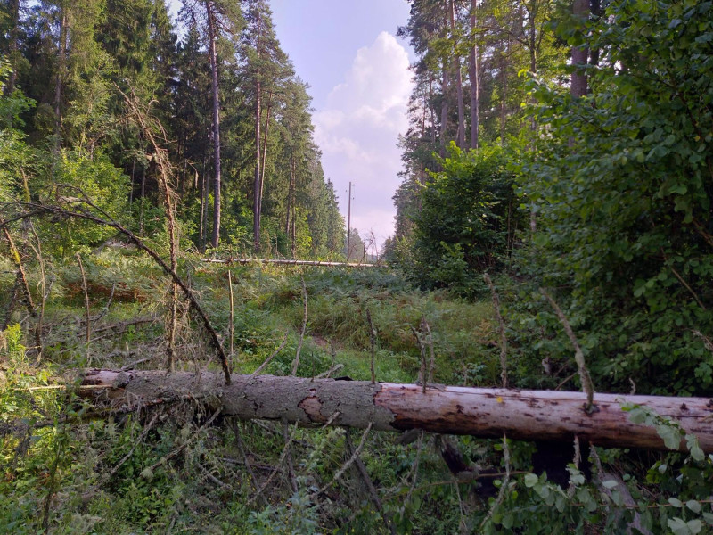Cēsu novadā vētras radīto bojājumu apsekošanai izmantos dronus